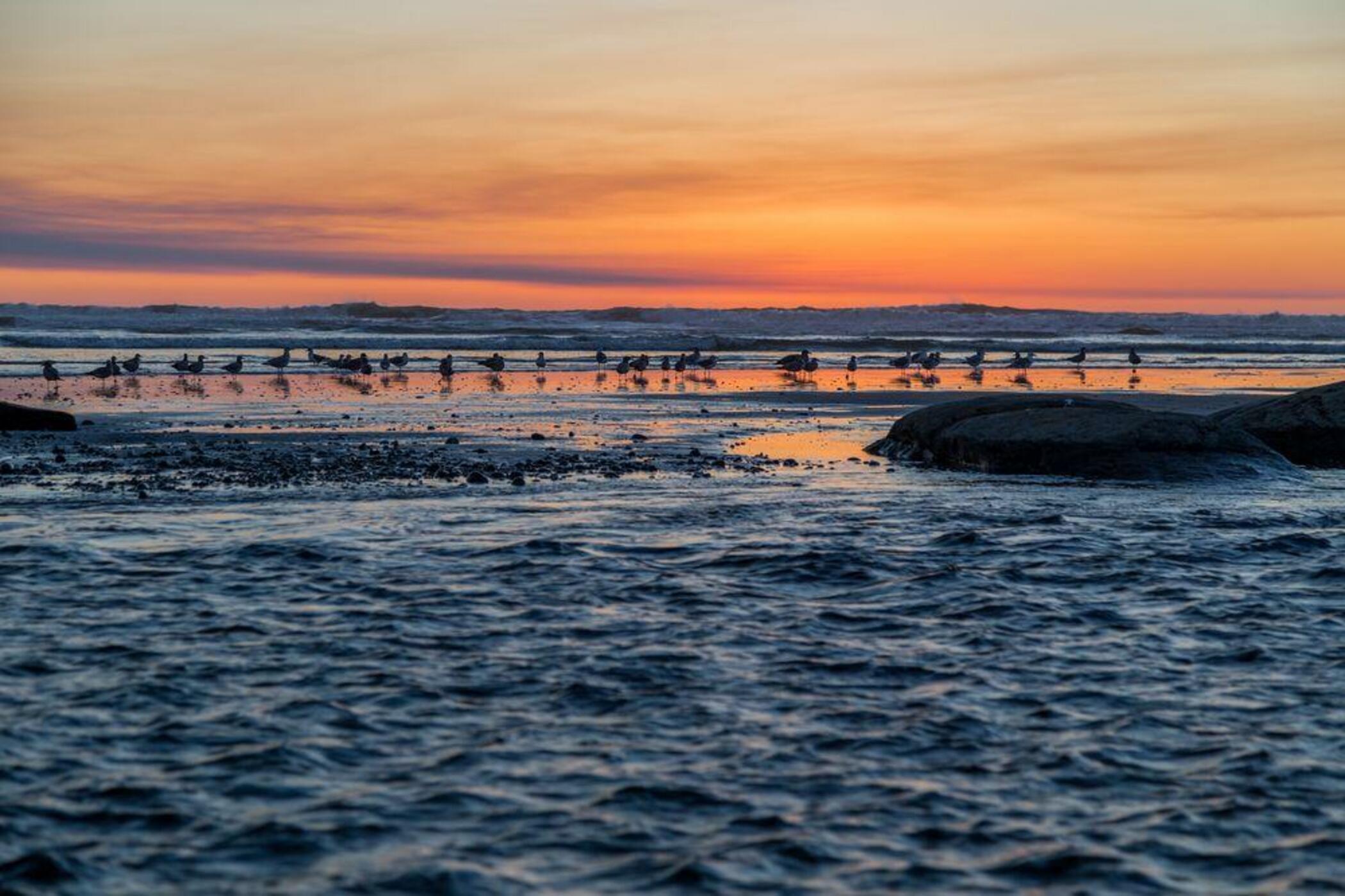Kalaloch Lodge Forks Extérieur photo