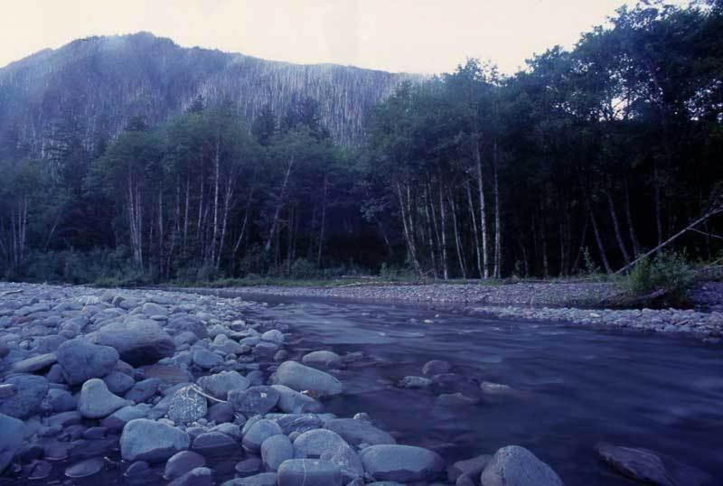 Kalaloch Lodge Forks Extérieur photo